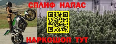шишки Краснодар