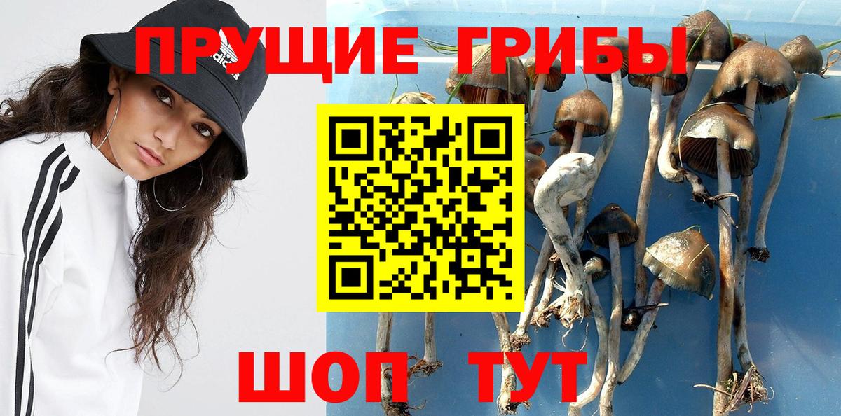 Псилоцибиновые грибы ЛСД  Вход с VPN  Кубинка 